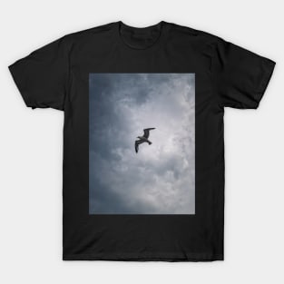 Seagull in flight T-Shirt